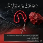 سبحة ثلث من المرجان الحر بشرابة فضة